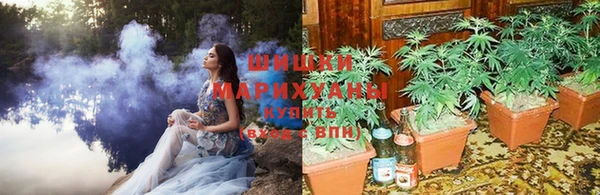 мдпв Горно-Алтайск